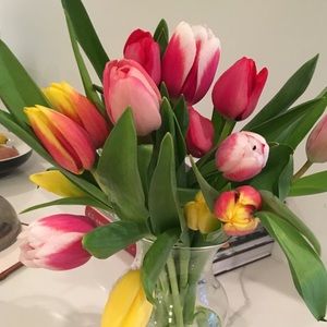 Meet your Posher, Sakura